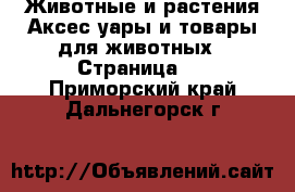 Животные и растения Аксесcуары и товары для животных - Страница 2 . Приморский край,Дальнегорск г.